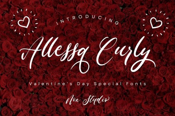Allessa Curly: A Designer’s Honest Review for Real Projects