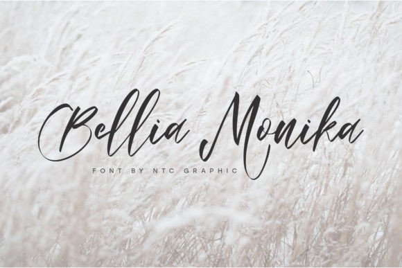 Bellia Monika: A Script Font for Campaigns That Feel Personal