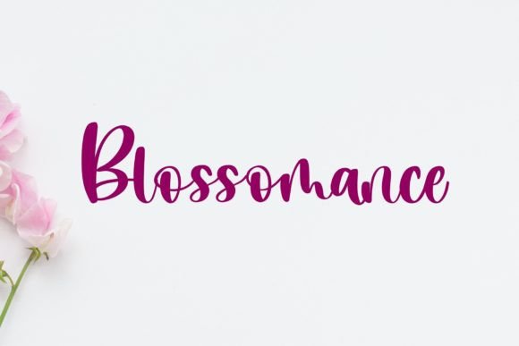 Blossomance: A Distinctive Handwriting Font for Editorial Excellence