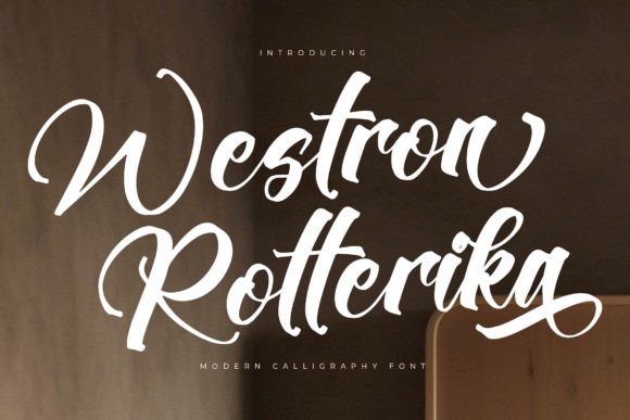 Choosing Westron Rotterika for a Polished Website Layout